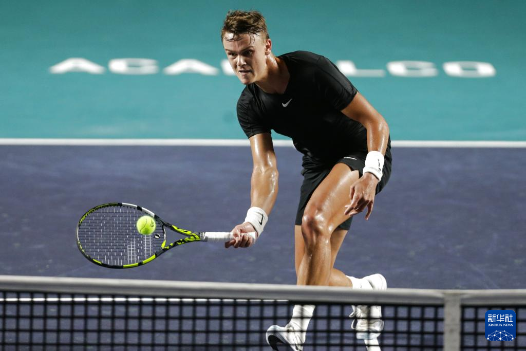 的职业生涯 的职业生涯