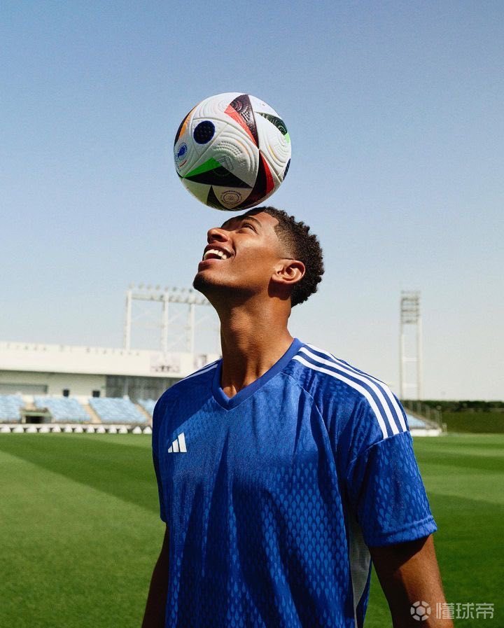 具辨识度的 具辨识度的