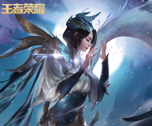 方案